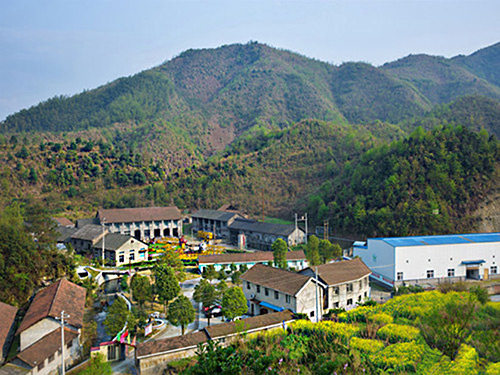 热烈祝贺od平台官方官网_OD（中国）一站式服务平台正式上线！